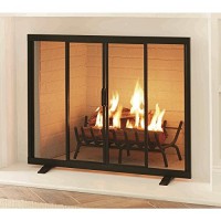 Style Selections 38.97-in Black Powder Coated Steel Flat Twin Fireplace Screen - B078NBQZQN